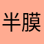 半膜様筋