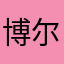 博尔凯斯