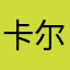 卡尔的胖猫
