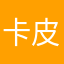 卡皮223