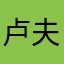 卢夫子