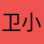 卫小四