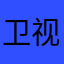 卫视出去