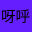 呀呼嘿531
