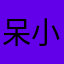 呆小木