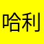哈利·波特汤姆猫直升机坠机了