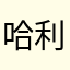 哈利路亚N1