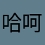 哈呵哈哈计算机