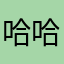 哈哈呵呵4638