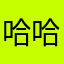 哈哈哈哈五个哈