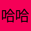 哈哈哈哈过大年哦