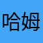 哈姆经历过