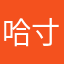哈寸头