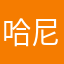 哈尼丁