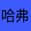哈弗使用○