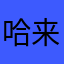 哈来啦奤路