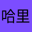 哈里usdp