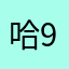 哈91林总发