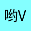 哟v国环境小