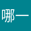 哪一什有么条
