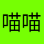 喵喵白兔