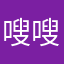 嗖嗖嗖因为名