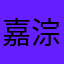 嘉淙