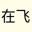 在飞机上跳芭蕾舞