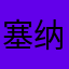 塞纳河左岸读书