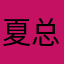 夏总不靠谱