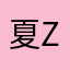 夏zx