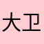 大卫9933