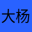 大杨全球代