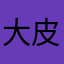 大皮2023