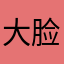 大脸叮