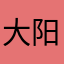 大阳子95