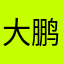 大鹏展翅125