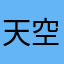天空龍111