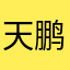 天鹏元帅不会飞123456
