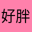 好胖的一个人