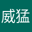 威猛大维维