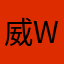 威WY