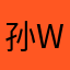 孙*wei