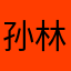 孙林linsun
