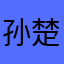 孙楚赫