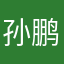 孙鹏飞1