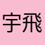 宇宙 飛翔