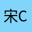 宋ci滴滴嘟