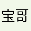 宝哥LEE