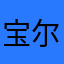 宝尔9